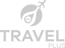 logo pie